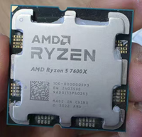 Pour processeur AMD Ryzen 5 7600X R5 7600X AM5 CPU 4,7 GHz 6 cœurs