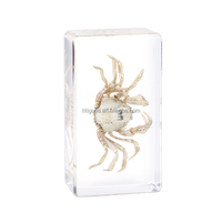 Spécimen personnalisé en résine insecte en résine spécimen de crabe acrylique presse-papiers coquillages décoration grenouilles cadeau souvenir fait main