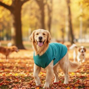 पालतू शीतकालीन वसंत भाग निलंबित करने वाले बनियान कस्टम छोटे मध्यम कुत्ते पल्लोफर कोट S-XL फ्फी बिल्ली जैकेट स्वेटर सरल - Product Image 2