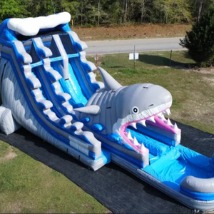 Hot Bán Trẻ Em Của Sân Chơi Cao Ngoài Trời Đôi Trượt Inflatable Cá Mập Trượt Cho Thuê Trong Người Lớn Và Trẻ Em Của Công Viên - Product Image 3