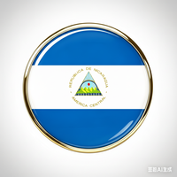 GREPAS GIFTS Épinglette drapeau du Nicaragua ronde de 1 pouce, épinglette patriotique mondiale pour chapeau