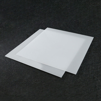 PC givré PS acrylique PMMA diffuseur feuille de cheminée/panneau/plaque pour lumière Led