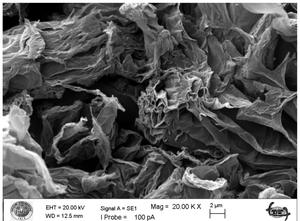 Aerogel de Grafeno Industrial GA-001, Material de Carbono de Alta Porosidad, Aislamiento Térmico Avanzado, Ultraligero, 99% de Grafeno - Product Image 5