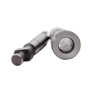 Elemento de émbolo de bomba de inyección de combustible 2455/<span class=keywords><strong>221</strong></span> 2 <span class=keywords><strong>418</strong></span> 455 <span class=keywords><strong>221</strong></span> para motor diésel de alta calidad - Product Image 3