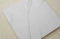 Importation indienne américaine colorée Plus Usa Carreau de céramique blanc brillant Vs marques de carreaux de sol en porcelaine