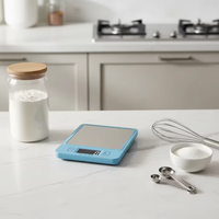 Báscula de Piso Electrónica Personalizada de 3 kg y 5 kg, Plataforma de Plástico ABS ST, Pantalla LCD de 1 g, Báscula Digital Profesional para Alimentos de Cocina