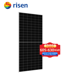 Paneles Solares de Doble Vidrio Tipo N de Alta Eficiencia Risen de 605W a 630W, Venta al por Mayor de Fábrica, Módulo Fotovoltaico en Oferta - Product Image 1