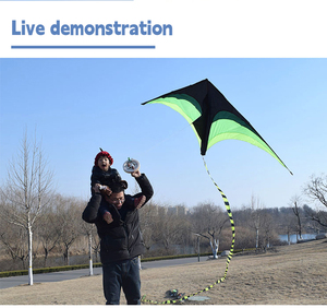 Prairie Kites <span class=keywords><strong>Cerf</strong></span>-<span class=keywords><strong>volant</strong></span> décoratif triangle arc-en-ciel facile à voler pour enfants et adultes Très fonctionnel de haute qualité - Product Image 6