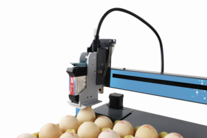 Impresora de inyección de tinta automática para codificación de huevos de gallina con pantalla táctil inteligente de un solo cabezal para logotipos y códigos de barras - Product Image 6