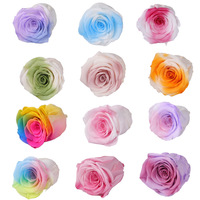 AYOYO OEM Yunnan un grade préservé 4-5 cm têtes de Rose arc-en-ciel pour toujours Rose fleurs immortelles en gros