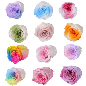 AYOYO OEM Yunnan un grado conservado 4-5 cm arcoíris cabezas de rosas para siempre rosas flores inmortales al por mayor - Product Image 6