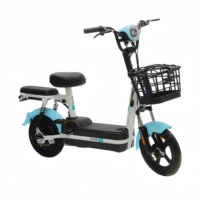 Bicicletas Eléctricas de Largo Alcance de 48V 12/20Ah con Batería de Plomo-Ácido, Personalizadas de Fábrica, para Adultos, de Alta Velocidad