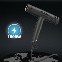 Sèche-cheveux ionique professionnel avec logo personnalisé 1800W, vente en gros, nouveau modèle compact BLDC avec diffuseur et concentrateur