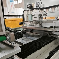 Poinçonneuse à double tête à alimentation par rouleau pour panneaux de moniteurs de glycémie médicaux, capteurs tactiles automobiles et cartes de circuits imprimés flexibles FPC