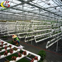 Usine directement en gros jardin Vertical culture hydroponique légumes système de culture Kit serre