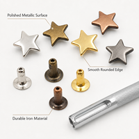 Clous décoratifs en métal Deepeel XP406 Star Rivet avec outils pour sacs en cuir, vêtements, chaussures, ceintures, accessoires de bricolage