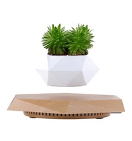 Arrangement floral d'intérieur de maison d'inspiration nordique vivant artificiel magnétique flottant en lévitation bonsaï pots intelligents jardinières