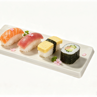 Plateau à sushi jetable en pulpe de bagasse de canne à sucre |   Plateau à sushi moderne compostable pour fêtes, logo personnalisé |   TEANHE BQ-02 biodégradable