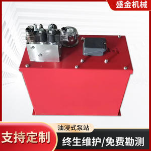 Amplia Selección de Bombas Hidráulicas Pequeñas, Unidades de Potencia No Estándar para Equipos Mecánicos, Elevadores de Carga que Proporcionan Aceite Hidráulico - Product Image 5