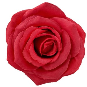 Haute qualité première qualité naturel réaliste éternelle grande tête de rose fleurs décoratives conservées pour la fête des mères saint valentin - Product Image 5
