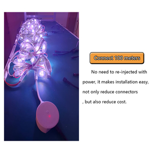 Ws2811 pixels 12V sứa chiếu sáng chạy ánh sáng bên ngoài trimlight LED điểm đèn cho Nhà - Product Image 5