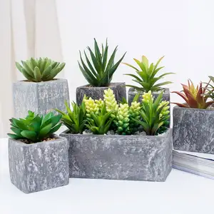 2021 Hot Selling Cute Artifical Succulents with Pulp Pots mixed artificial succulents for decoration