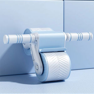 Aangepaste Kleur Home Gym Familie <span class=keywords><strong>Abs</strong></span> Wheel Gym Rebound Fitness Spierstille Buikoefeningen Roller - Product Image 1