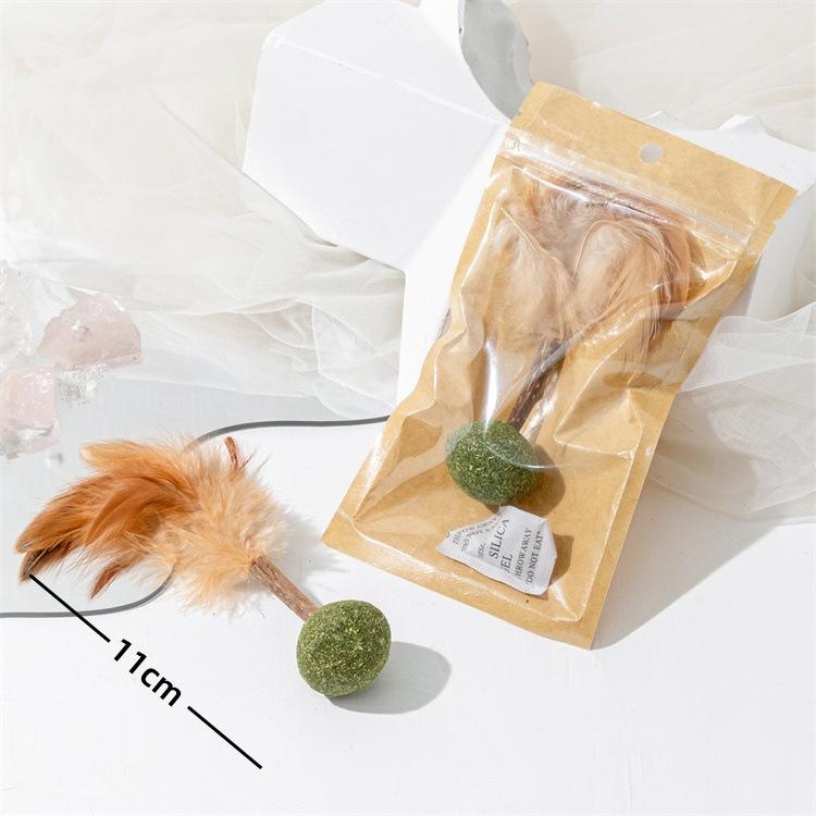 Herbe à chat ronde-Polygonum Multiflorum