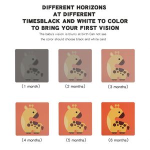 Stimulations visuelles pour nouveau-nés, développement sensoriel du cerveau, cartes mémoire contrastées noir et blanc, cartes mémoire colorées pour bébés - Product Image 6