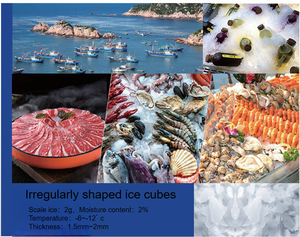 Machine à <span class=keywords><strong>glace</strong></span> en flocons commerciale - Product Image 4