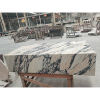 SH STONE Table Basse Socle Nordique Moderne Forme Rectangulaire Marbre Calacatta Violet Viola de Luxe pour Salon Décoration Intérieure