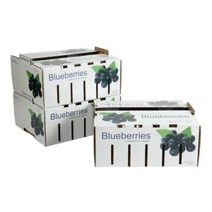 Supplier Biodegradable material Custom Logo design Shipping Kraft Paper Box for blueberries