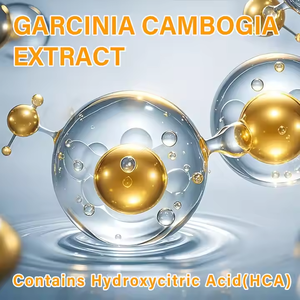 Crème minceur ventre étrange brûlage des graisses coréen chaud crème mince pour hommes gel pour brûler les graisses crème <span class=keywords><strong>amincissante</strong></span> à l'acide hyaluronique - Product Image 4