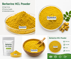 Extrait naturel de racine de Coptis, chlorhydrate de berbérine (CAS 2086-83-1), supplément alimentaire à base de plantes en vrac, qualité alimentaire, poudre de berbérine HCL 97% 98% - Product Image 3