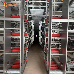 Equipo de capa de sistema de jaula de batería de pollo comercial para avicultura disponible para la <span class=keywords><strong>venta</strong></span> <span class=keywords><strong>en</strong></span> Kenia - Product Image 1