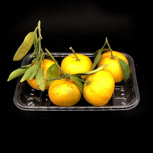 Bandeja <span class=keywords><strong>de</strong></span> Plástico PET Desechable para Empaque <span class=keywords><strong>de</strong></span> <span class=keywords><strong>Cebolla</strong></span>, Frutas y Cerezas, Venta al por Mayor <span class=keywords><strong>de</strong></span> Fábrica - Product Image 5
