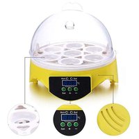 Incubateur automatique à 7 œufs domestique, couveuse numérique et à température réglable pour poulet, chèvre, canard, volaille, Mini manches