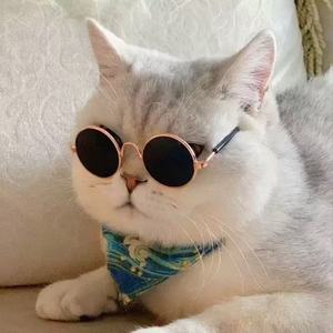 Lunettes de soleil écologiques pour animaux de compagnie LeQin en métal solide pour l'hiver, pour petits animaux - Product Image 5