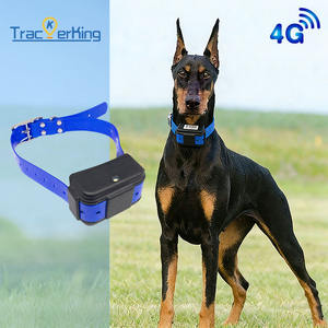 Traceur GPS DK07 Trackerking 2G+4G adapté aux grands chiens et aux chiens de chasse, batterie 4500 mAh, compatible GSM quadribande, géolocalisation. - Product Image 2