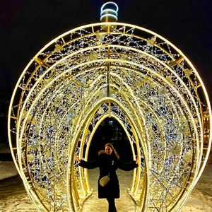 Luces de túnel en forma de arco navideño en blanco cálido que crean una entrada elegante para hoteles, resorts y eventos invernales - Product Image 1