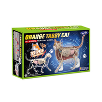 Maquette d'anatomie réaliste de chat bleu, jouet éducatif interactif STEM pour les démonstrations en classe de sciences et d'ingénierie, avec étui de présentation
