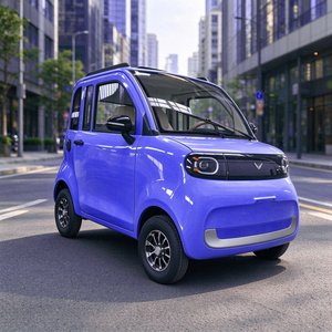 Solution de transport de passagers électriques homologuée UE pour manoirs, avec batterie 72V45AH, conforme L6e - Product Image 1