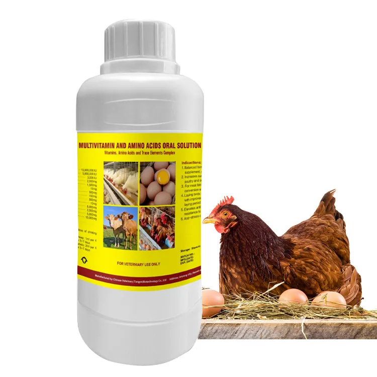 Suppléments d'acides aminés de volaille, vitamine liquide pour le poulet pour augmenter la ponte, vitamines booster