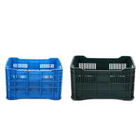 Molde de Inyección de Plástico de Alta Calidad y Bajo Costo para Cestas y Cajas de Frutas para el Hogar, Venta al por Mayor