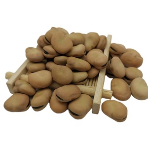 Frijoles amarillos claros de Selección manual a granel 50-60 granos por 100g de habas secas - Product Image 2