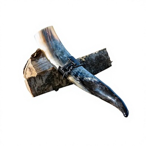 Handcrafted Natural <b>Horn</b> <b>Drinking</b> <b>Horn</b> with Brass Tip – Polished Viking <b>Horn</b> Cup for Medieval Festivals, & Rustic Decor - Product Image 5