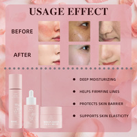Marque privée Végétalien Biologique Pour Tous Les Types Rose Niacinamide Coffret de Soins Rajeunissant Ensemble Visage Éclaircissant