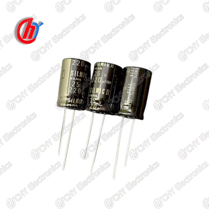 Condensador de Audio ELNA 220uF 25V con Terminales de Cobre, Película de Seda SILMICII RFS, Original y Nuevo - Product Image 1