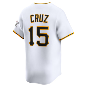 Maillots de baseball domicile Pittsburgh 2026 édition limitée, uniformes personnalisés brodés avec logos - Product Image 4
