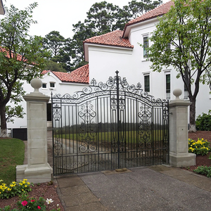 Cancello in Ferro Battuto Moderno Personalizzato Cancello Scorrevole o a Battente in Acciaio Zincato per Villa Hotel Ingresso Decorativo del Cortile - Product Image 2